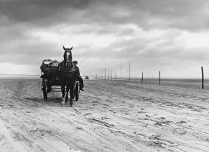 Horse & Cart on Sands