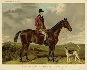 Horse / Charles Davis