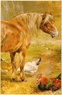 C 1910 Prints: Horse & Chickens C1910