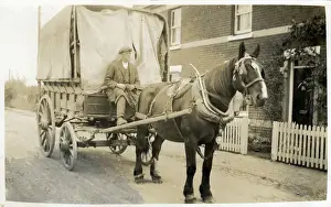 Horse & Delivery Cart