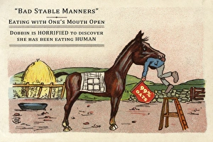 Rocking Horses Mouth