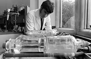 Horse doping tests -- a laboratory technician in a white coat with a set of glass jars