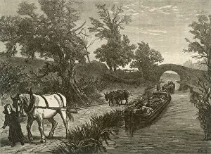 Bank Collection: Horse-Drawn Canal Barge