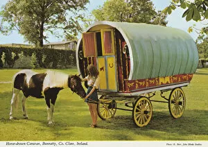Hedge Collection: Horse-drawn Caravan, Bunratty, County Clare, Ireland
