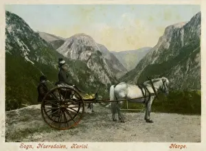 Horse-drawn carriage, Naerodalen, Sogn, Norway