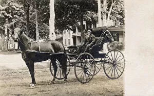 Horse-drawn carriage, USA