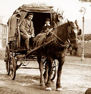 Horse drawn carrier haulier