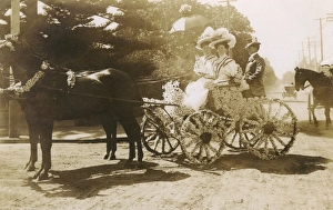 Harness Gallery: Horse-drawn cart decorated with daisies, USA