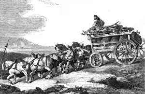 Down Hill Prints: Horse Drawn Coal Wagon