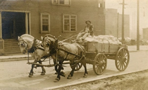 Graceful Gallery: Horse-drawn flour cart, USA