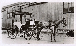 Images Dated 29th July 2016: Horse-drawn hackney carriage, Gibraltar