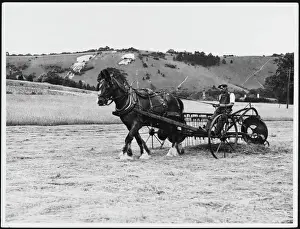 Turning Prints: Horse Drawn Haymaking