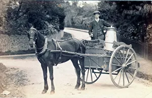 Texts Prints: Horse-drawn milk cart with driver. Churn on the cart