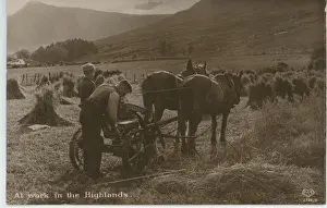 Horse Drawn Plough