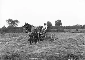 Horse Drawn Rake