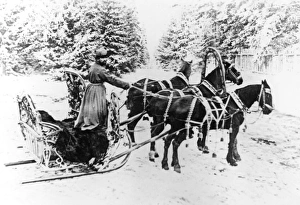 Horse-Drawn Sledge - Russian Troika Horse-Drawn Sledge - Russian Troika