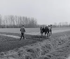 Horse Drawn Tiller
