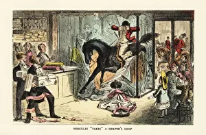 Steel Gallery: Horse and drunk huntsman crashing through a shop window