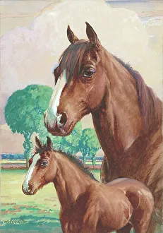 Foal Prints: Horse and foal