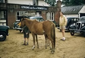 Images Dated 9th August 2012: Horse and foal in a car park, Ireland