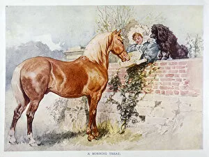 Feeds Collection: Horse and Girl 1890S
