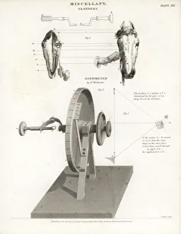 Angles Gallery: Horse glanders and Wollastons goniometer