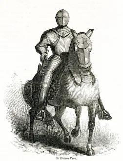Images Dated 22nd February 2019: Horse and knight in amour