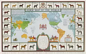 Breeds Collection: Horse Map of World 1936
