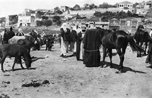 Images Dated 21st July 2016: Horse market at Nazareth, Northern Israel