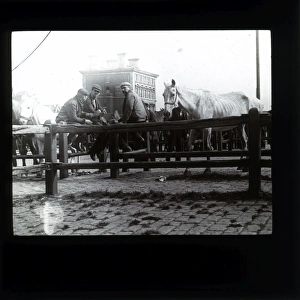 Horse Market, Unknown location Horse Market, Unknown location