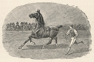Horse Put through Paces