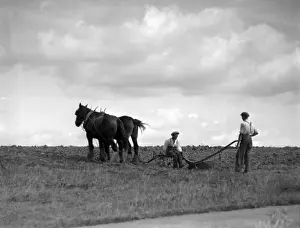 Ploughing Prints: Horse and Plough 1930S
