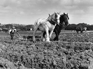 Pair Collection: Horse Plough