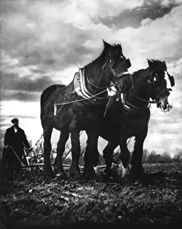 Horse Plough