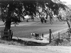 Horse Plough
