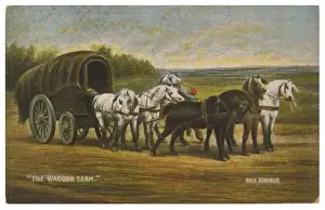 Six Horse Power Team
