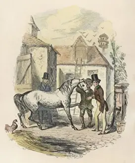 Horse and Purchaser