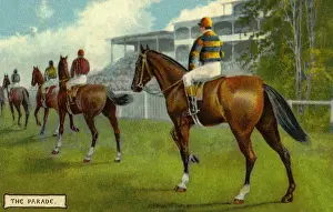 Horse racing
