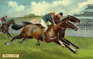 Horse racing