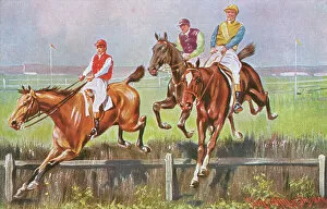 Images Dated 11th November 2011: Horse Racing - The Last Hedge