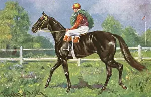Jockeys Prints: Horse Racing - Won in a Canter