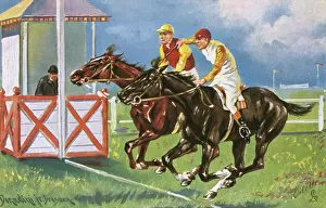 Horse Racing - Won by a Short Head