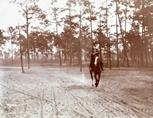Horse riding in America