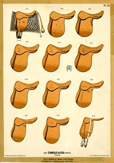 Saddle Prints: Horse saddles, Camille & Fils, Paris