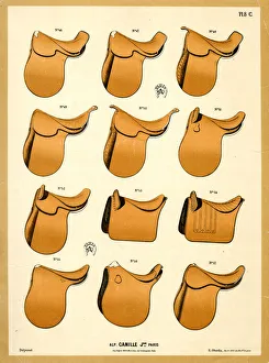 Horse saddles, Camille, Paris
