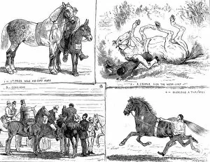 Images Dated 4th February 2005: The Horse Show, Alexandra Park, London, 1873