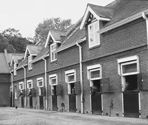 Horse Stables