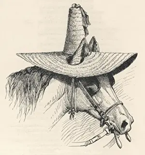 Horse in Sunhat 1896