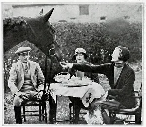 Horse at a Tea Party