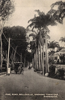 Antilles Collection: Horse Tram on Pine Road, Belloville, Barbados